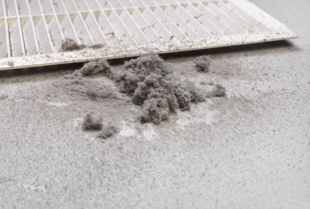 Best Air Duct Cleaning Near Me  in Canton, OH